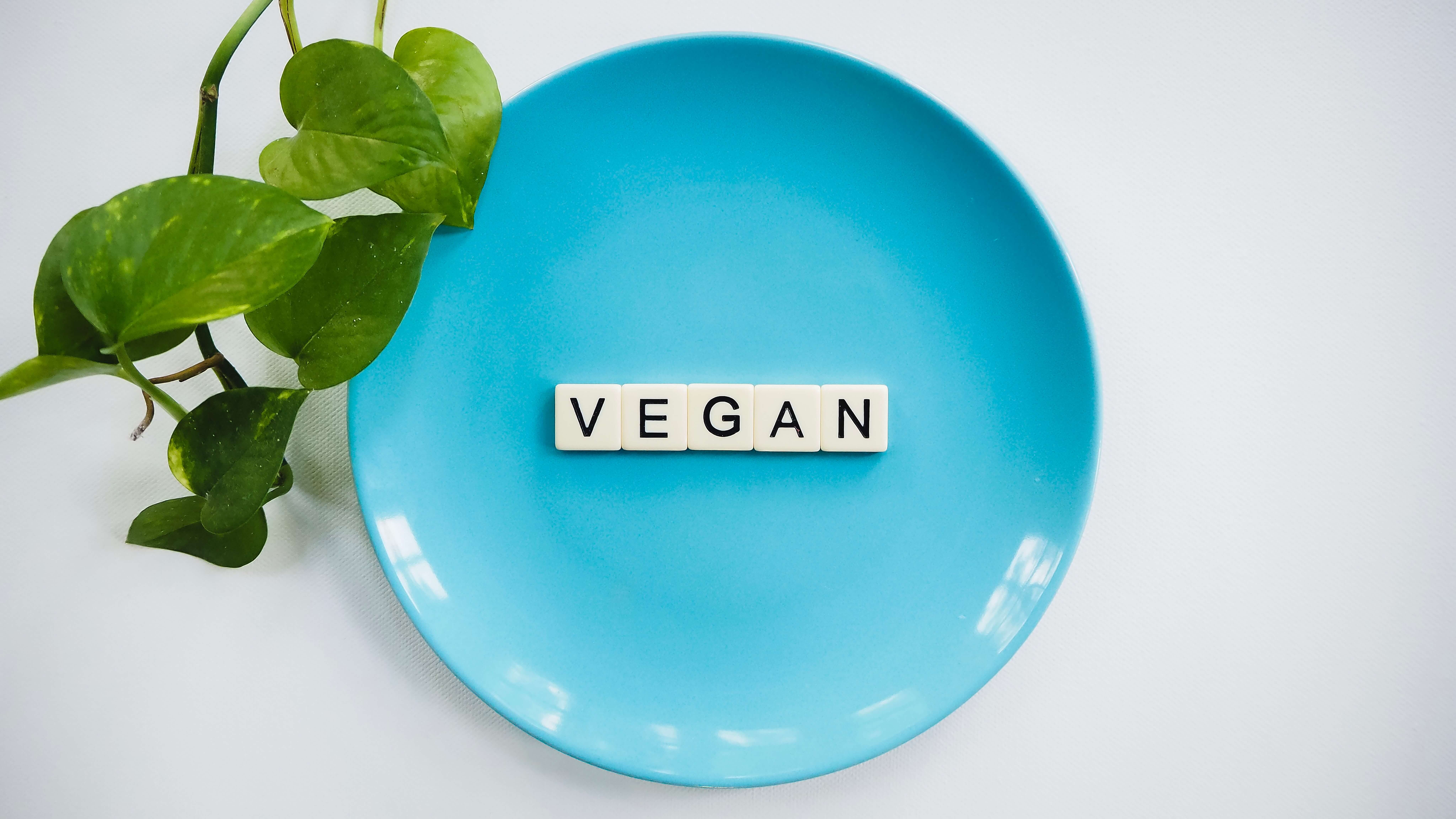 Ein blauer Teller mit Scrabble-Buchstaben, die das Wort "VEGAN" bilden, neben einer grünen Pflanze als Symbol für vegane Ernährung.