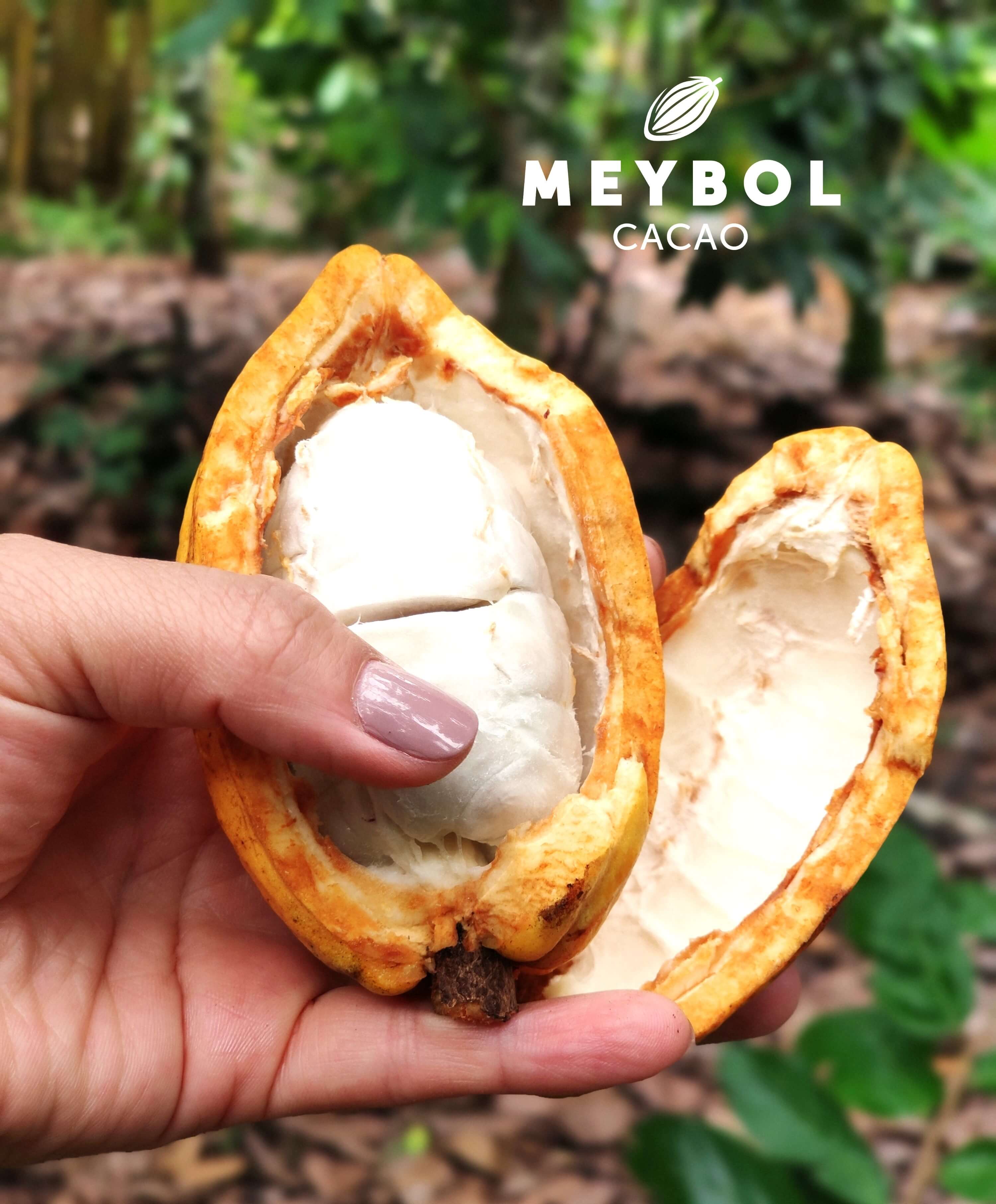 Single Origin Piura 72% -Cacao-